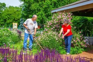 garden image holmstad photo gallery